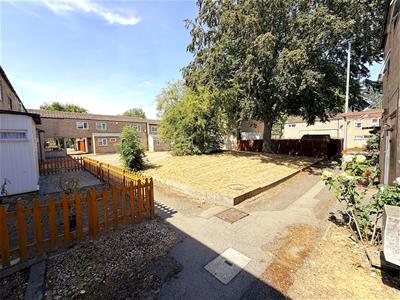Picture 23
